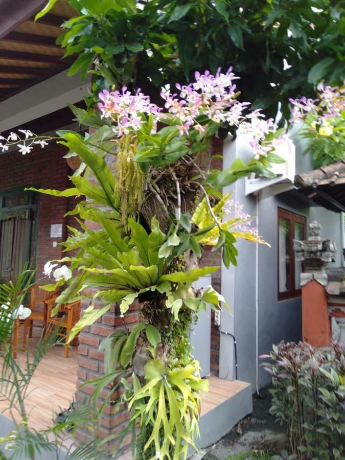 Twins Homestay Canggu Exterior foto